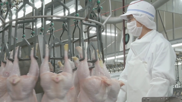 岩手県獣医師会 食鳥検査センター