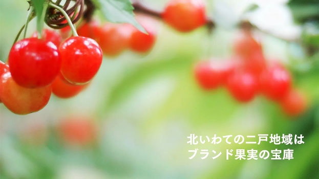 北いわてブランド果実プロモーション