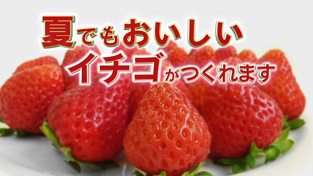 農研機構　各種紹介動画