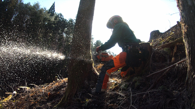 いわての林業 森あげよう